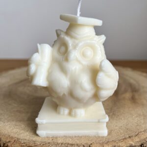 Graduation Owl Candle